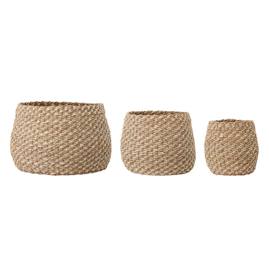 Malli Basket, Naturaleza, Pastos Marinos